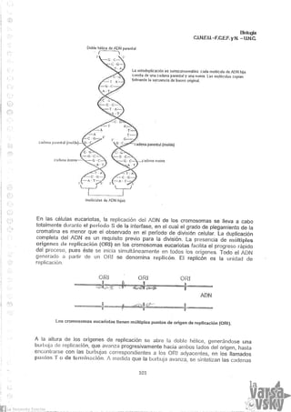 Biologia teorico (2014)