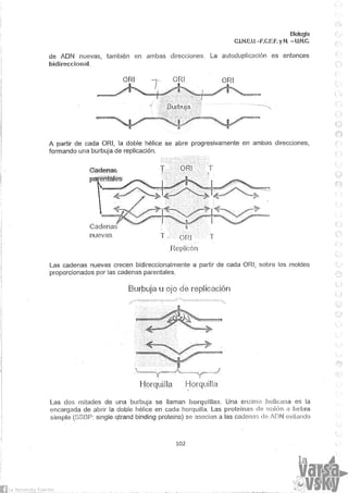 Biologia teorico (2014)