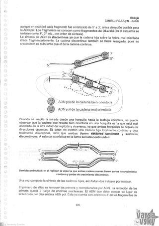 Biologia teorico (2014)
