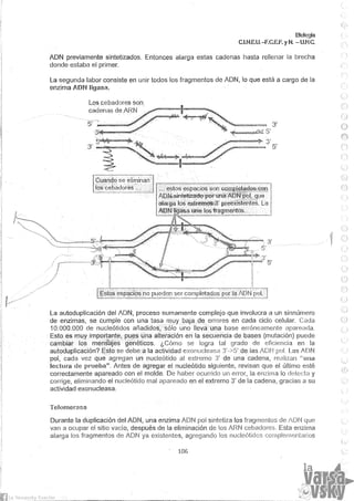 Biologia teorico (2014)
