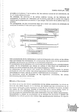 Biologia teorico (2014)