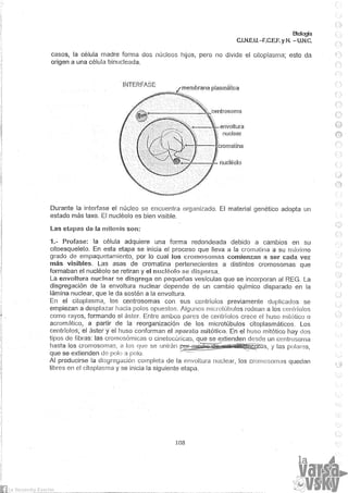 Biologia teorico (2014)