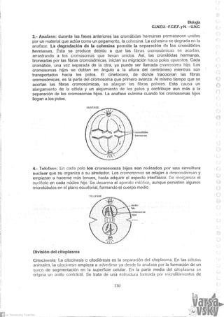 Biologia teorico (2014)