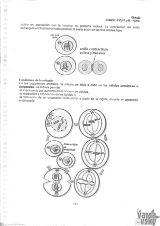 Biologia teorico (2014)
