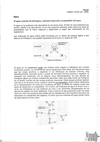 Biologia teorico (2014)