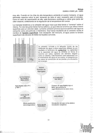 Biologia teorico (2014)