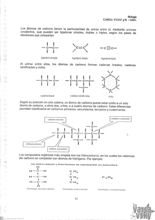 Biologia teorico (2014)