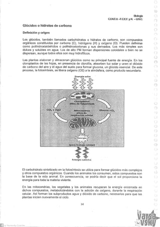 Biologia teorico (2014)