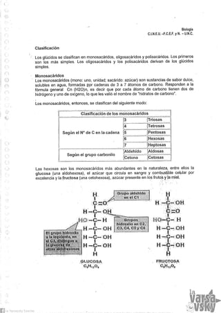 Biologia teorico (2014)
