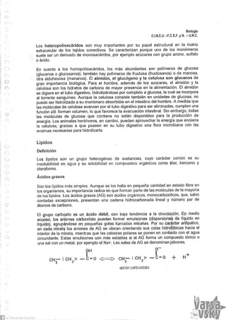Biologia teorico (2014)