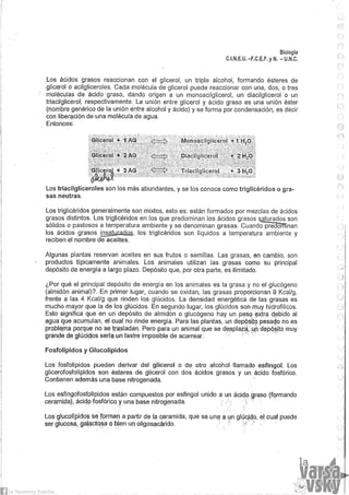 Biologia teorico (2014)