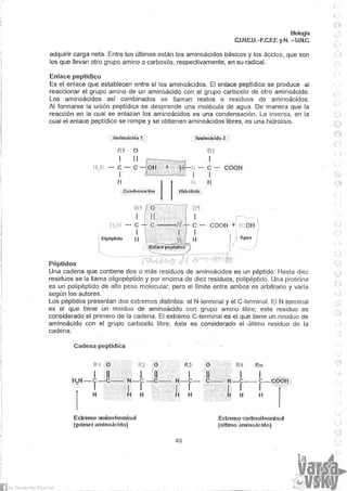 Biologia teorico (2014)