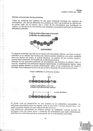 Biologia teorico (2014)