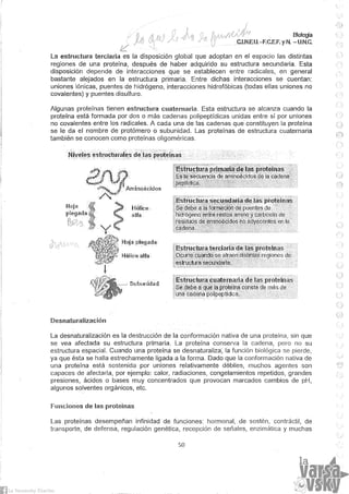 Biologia teorico (2014)