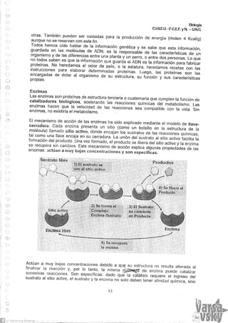 Biologia teorico (2014)