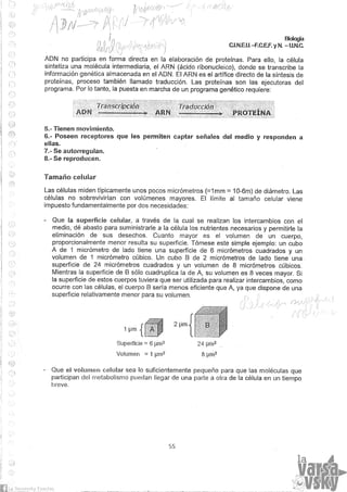 Biologia teorico (2014)