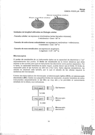Biologia teorico (2014)