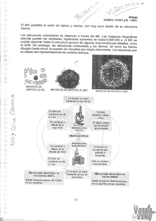 Biologia teorico (2014)
