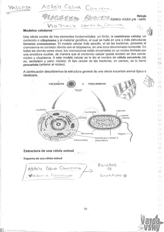 Biologia teorico (2014)