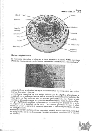 Biologia teorico (2014)