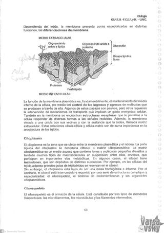 Biologia teorico (2014)