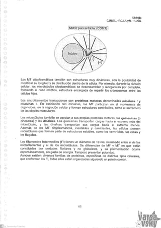 Biologia teorico (2014)