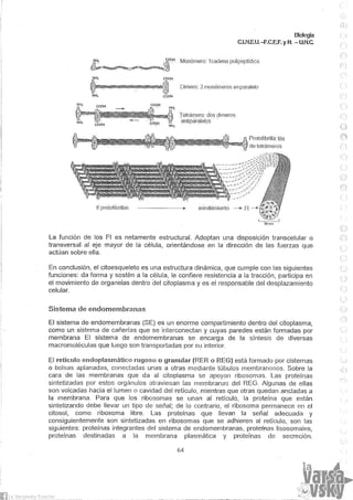 Biologia teorico (2014)