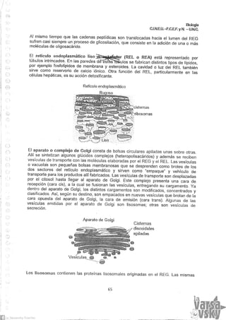 Biologia teorico (2014)