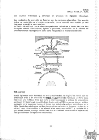 Biologia teorico (2014)