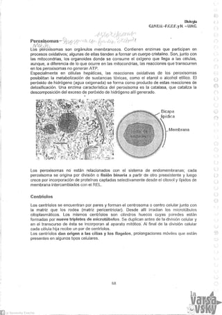 Biologia teorico (2014)