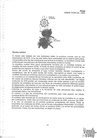 Biologia teorico (2014)