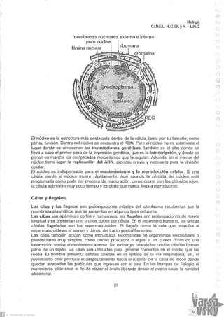 Biologia teorico (2014)