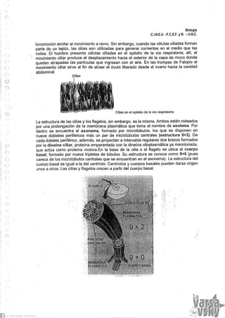 Biologia teorico (2014)