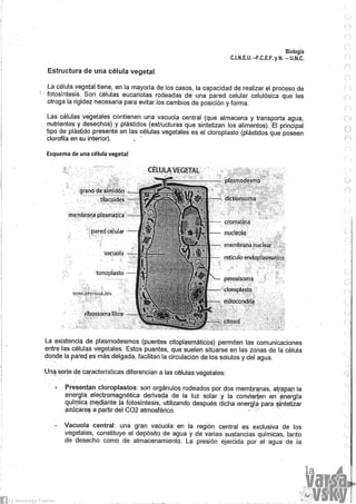 Biologia teorico (2014)