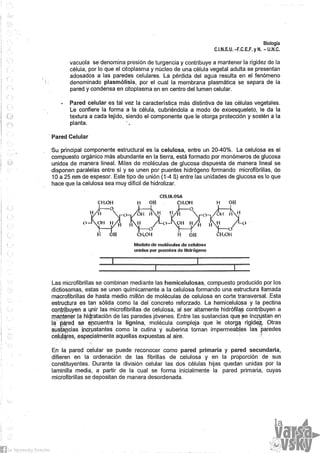 Biologia teorico (2014)