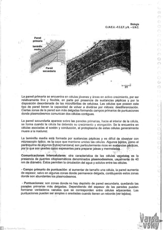 Biologia teorico (2014)