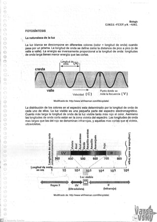 Biologia teorico (2014)