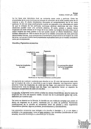 Biologia teorico (2014)