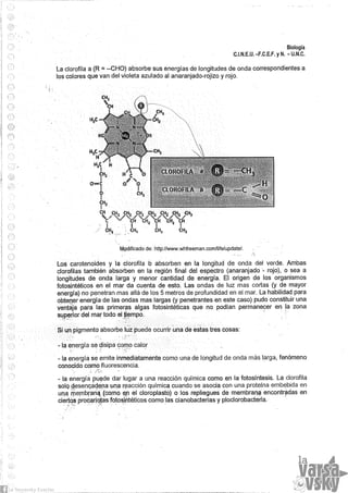 Biologia teorico (2014)