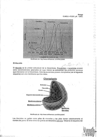 Biologia teorico (2014)