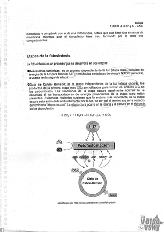 Biologia teorico (2014)