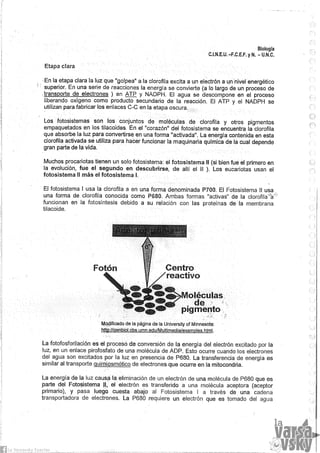 Biologia teorico (2014)