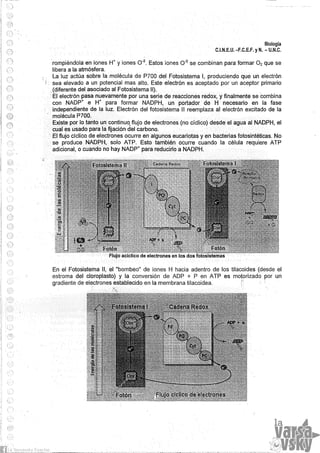 Biologia teorico (2014)