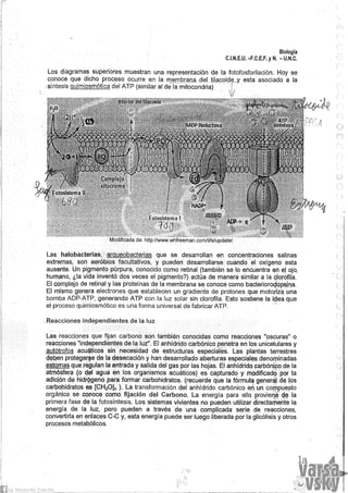 Biologia teorico (2014)