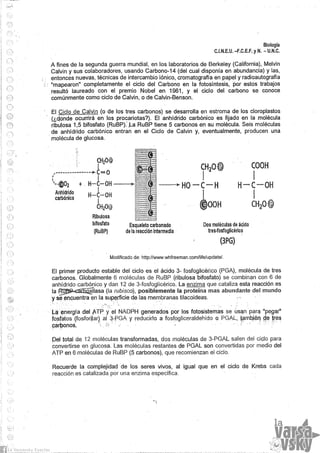 Biologia teorico (2014)