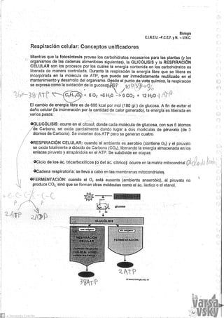 Biologia teorico (2014)