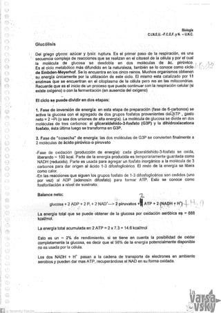 Biologia teorico (2014)