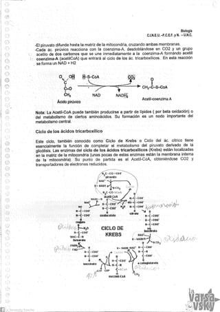 Biologia teorico (2014)