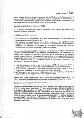 Biologia teorico (2014)