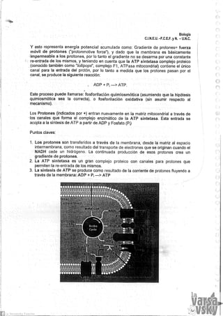 Biologia teorico (2014)